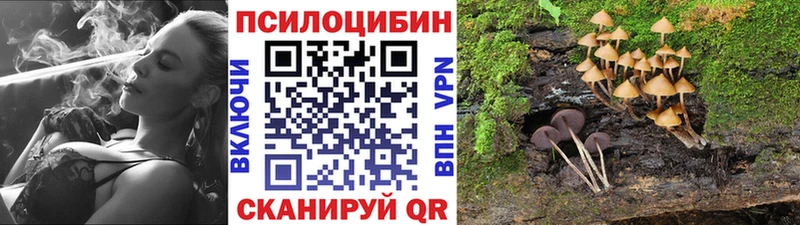 Псилоцибиновые грибы мухоморы  Купить закладки  Шагонар 